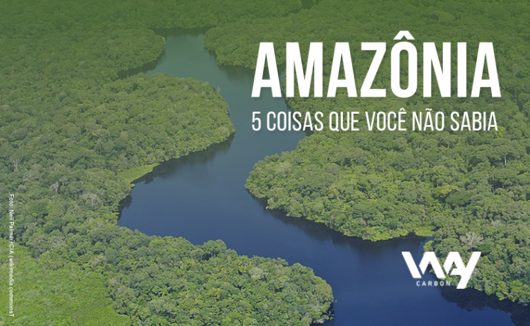 Amazônia