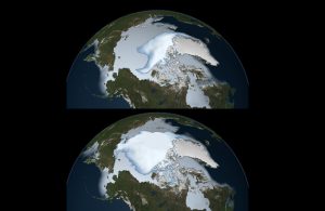 Consequências do aquecimento global