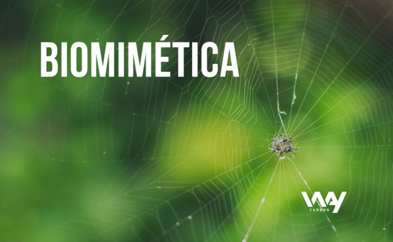 Biomimética