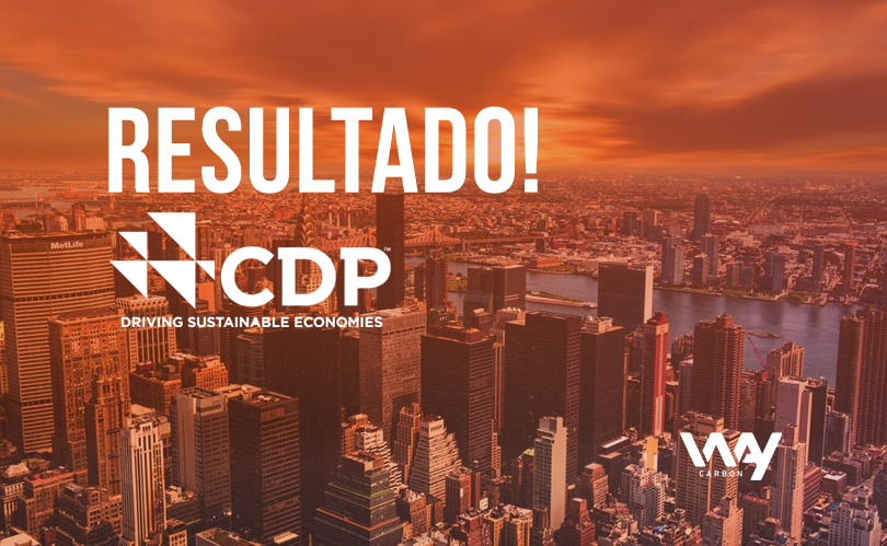 [:pt]Clientes Apoiados Pela WayCarbon Se Destacam No CDP 2017[:]