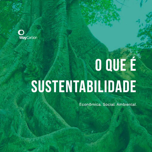 o que é sustentabilidade