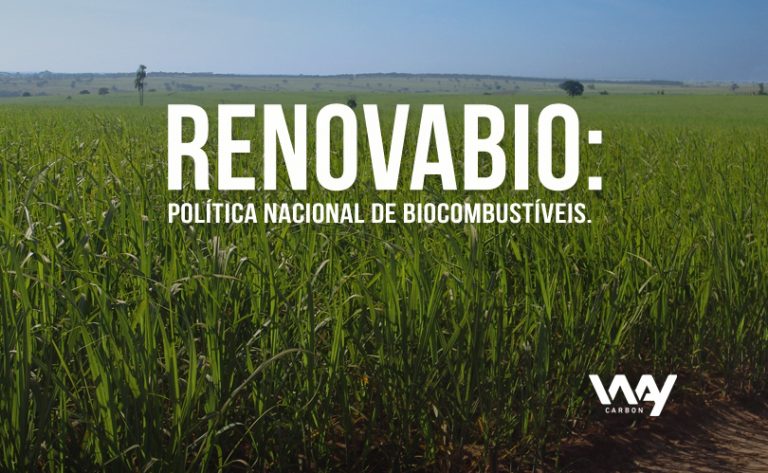 RenovaBio