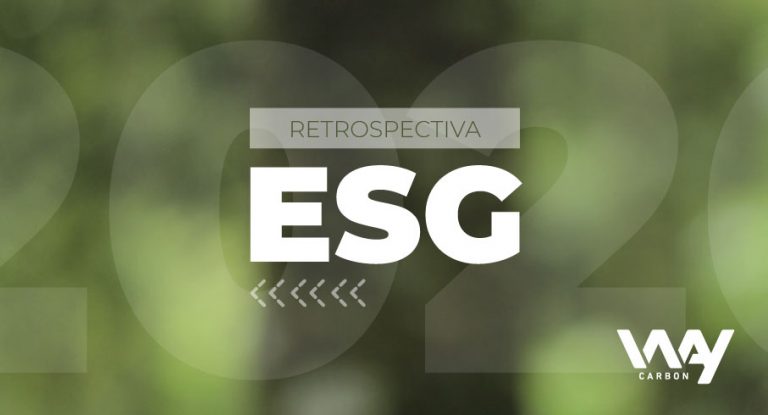 retrospectiva 2020 esg blog waycarbon