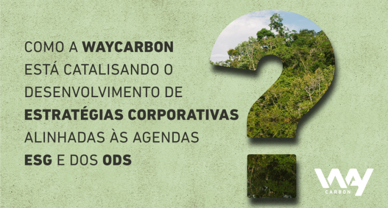 estrategias esg dos waycarbon