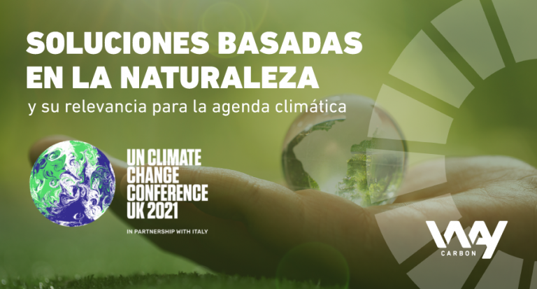 [:es]Soluciones-Basadas-en-la-Naturaleza[:]