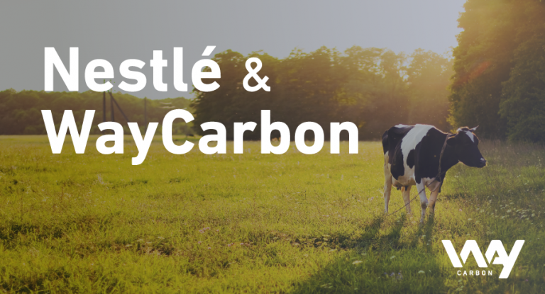 Nestle e WayCarbon 1