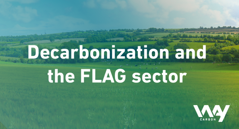 Blog EN Decarbonization FLAG 1