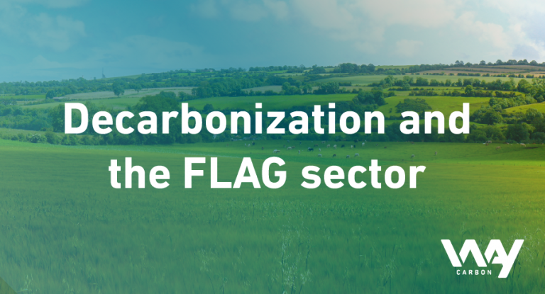 Blog EN Decarbonization FLAG