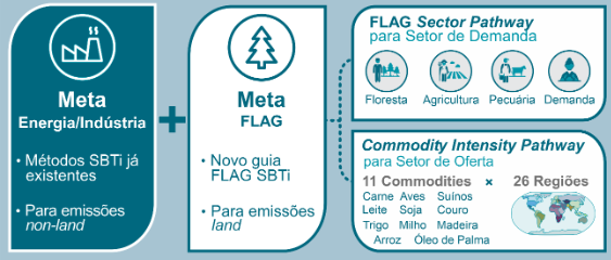 Print artigo FLAG Sbti 1