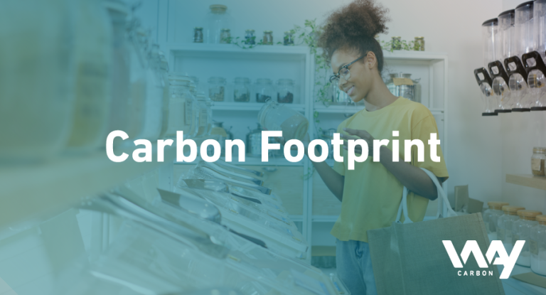 Blog Carbon footprint 1