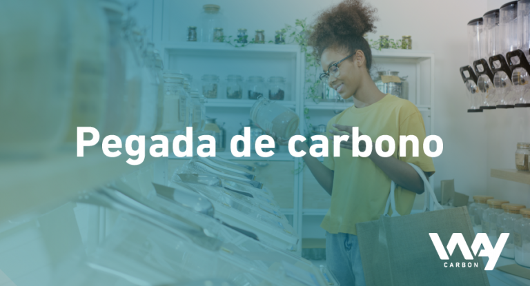 Blog Pegada de carbono