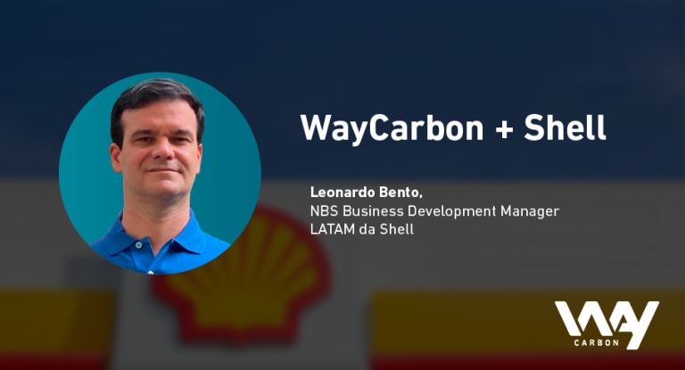 blog marco Blog WayCarbon e Shell 1 1