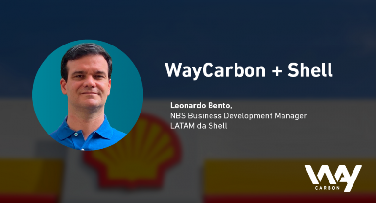 blog marco Blog WayCarbon e Shell 1