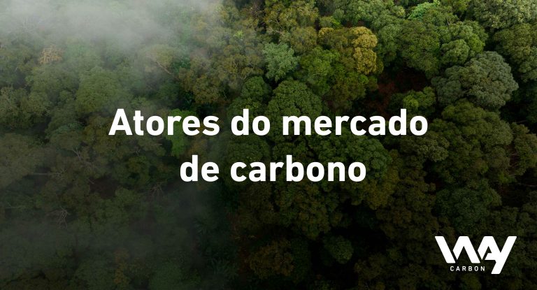 blog marco Atores do mercado de carbono