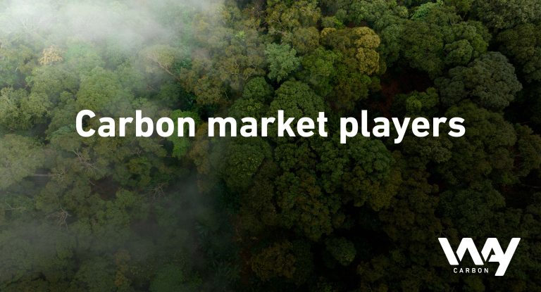 blog marco Carbon market players 1