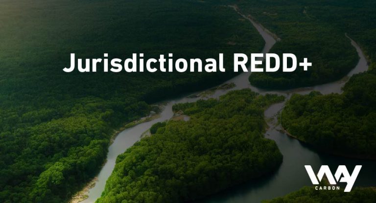 blog maio Jurisdictional REDD EN