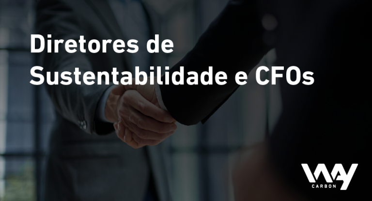 blog junho Diretores de Sustentabilidade e CFOs PT