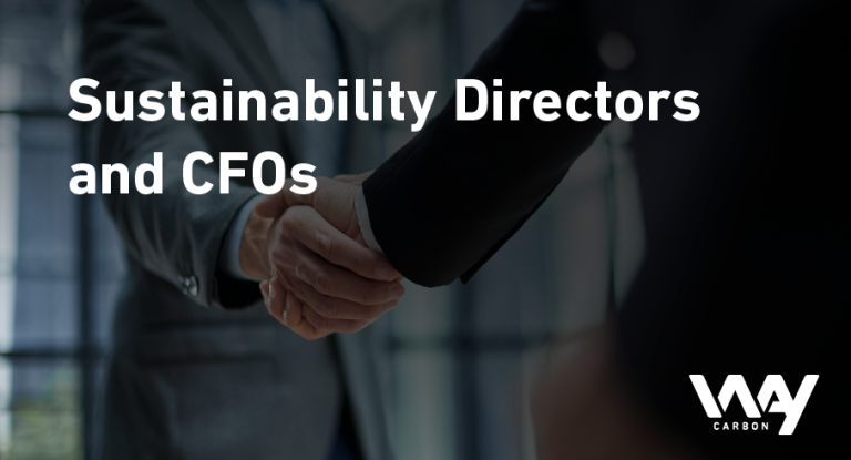 blog junho Sustainability Directors and CFOs EN 1