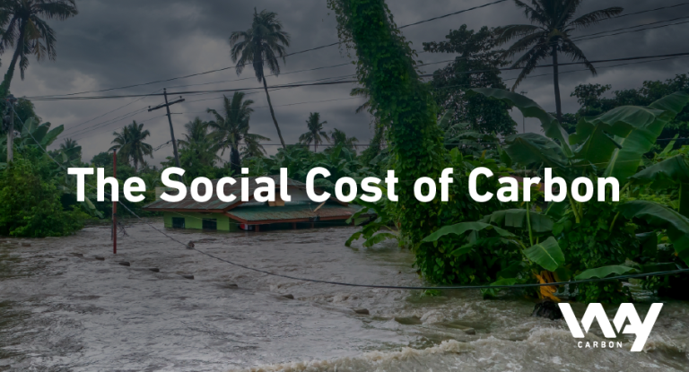 blog junho The social cost of carbon 1 1