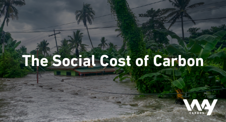 blog junho The social cost of carbon 1