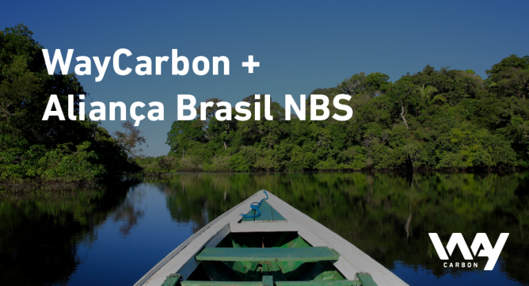 blog junho WayCarbon Alianca Brasil NBS 10