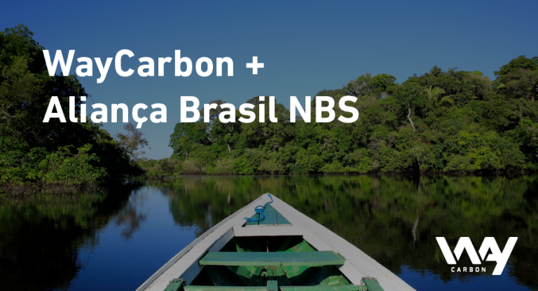 blog junho WayCarbon Alianca Brasil NBS 11 1