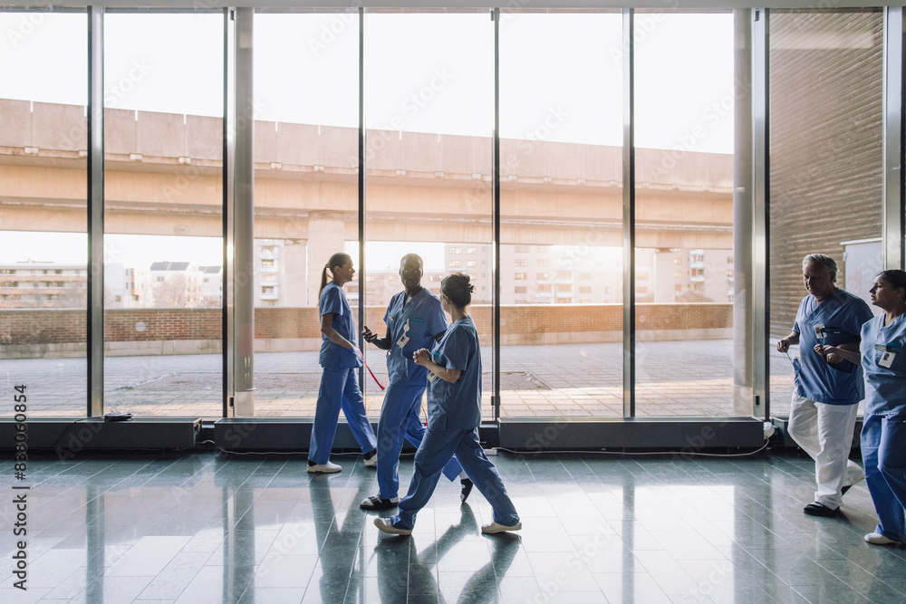 AdobeStock 838060854 Preview